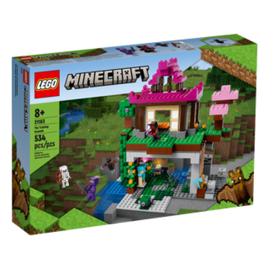 21183 Minecraft Dojo Cave 2022