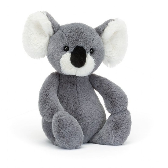 Bashful Koala - Medium